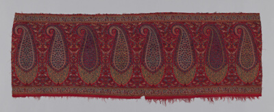Pallu (Shawl Border) Fragment