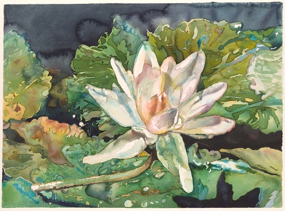 White Lily