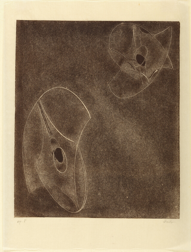 Opus 5, Constellation
