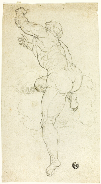 Ascending Male Nude