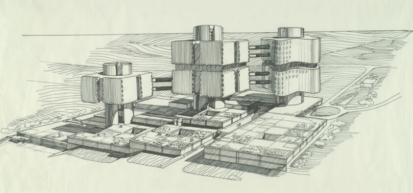 Health Sciences Center, Stony Brook, New York, Perspective