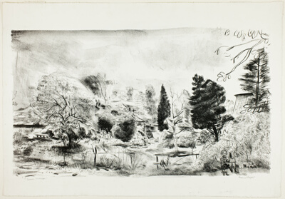Summer Landscape