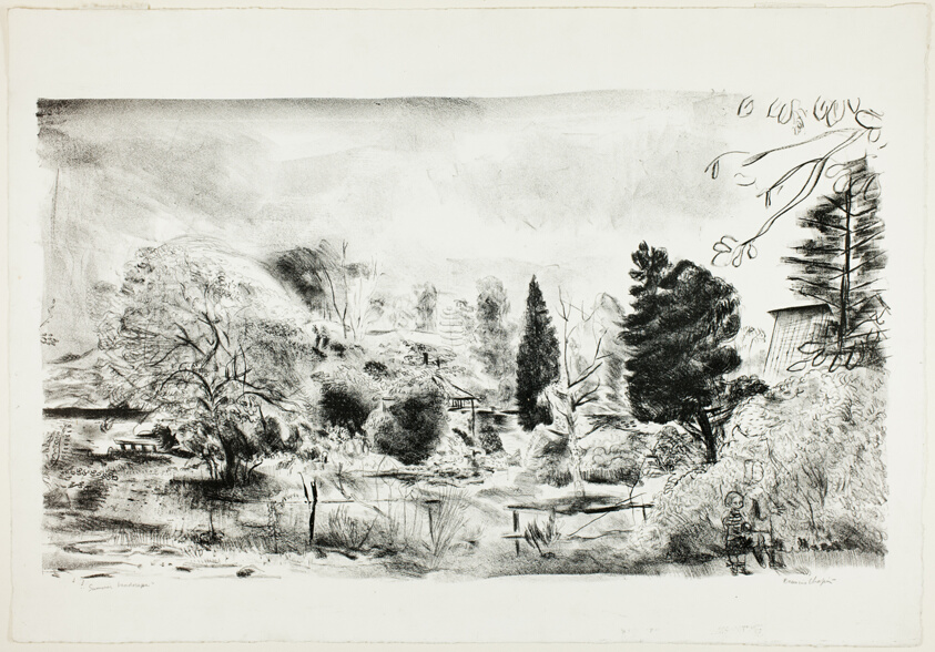 Summer Landscape