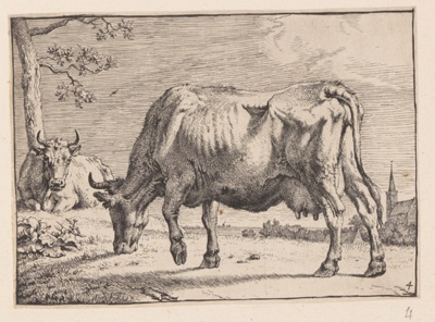 The Grazing Cow, from Various Oxen and Cows