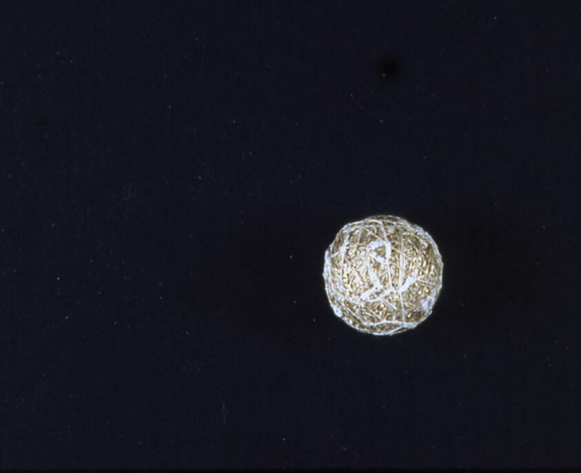 Study Sample (Ball)