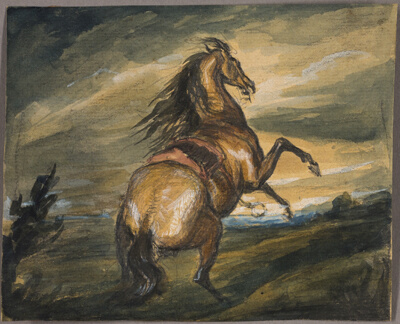 Rearing Horse