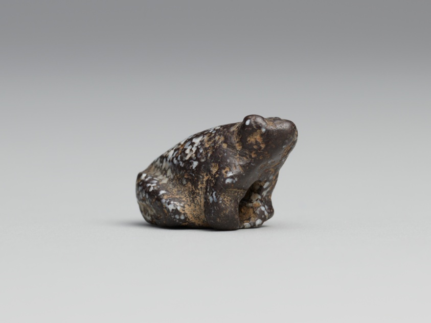 Amulet of a Frog