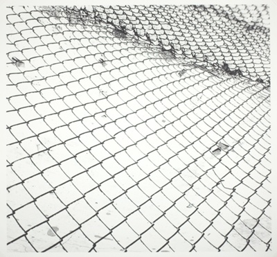 Untitled (Fence 82-7)