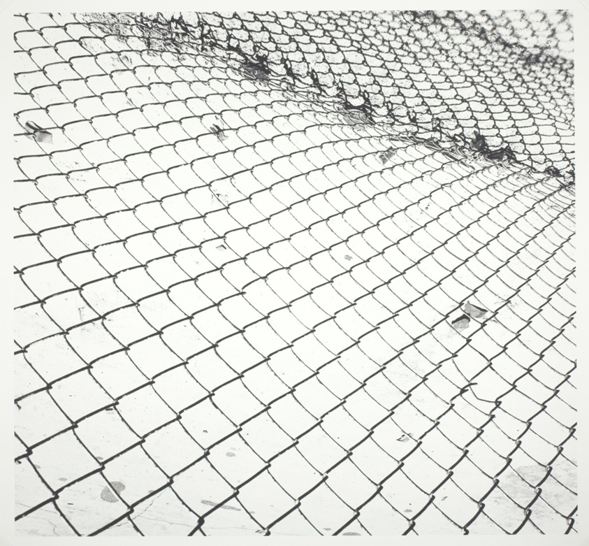 Untitled (Fence 82-7)