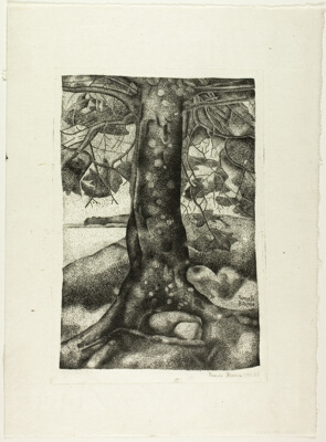 The Balsam Tree