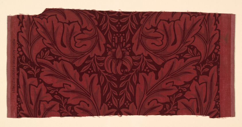 Acanthus