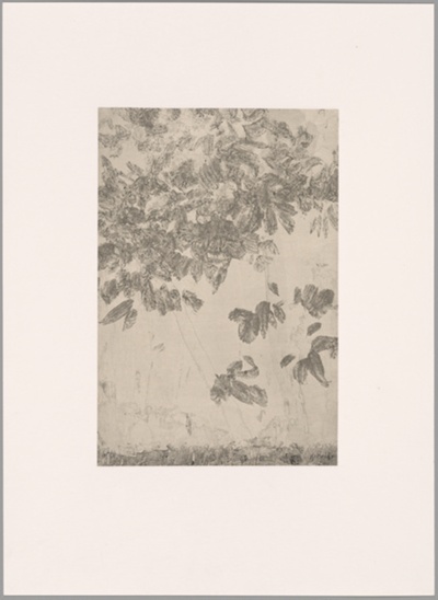 Xi Hu Feng Mu Wu 西湖 枫木坞 1