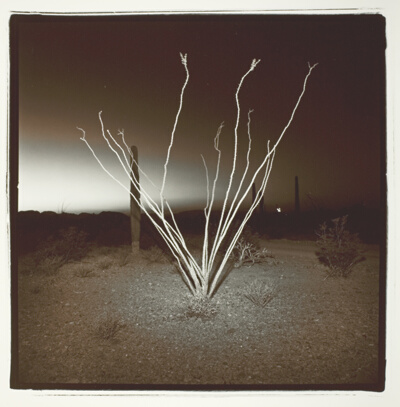 Untitled, from the series "Split Toned Night Desert"