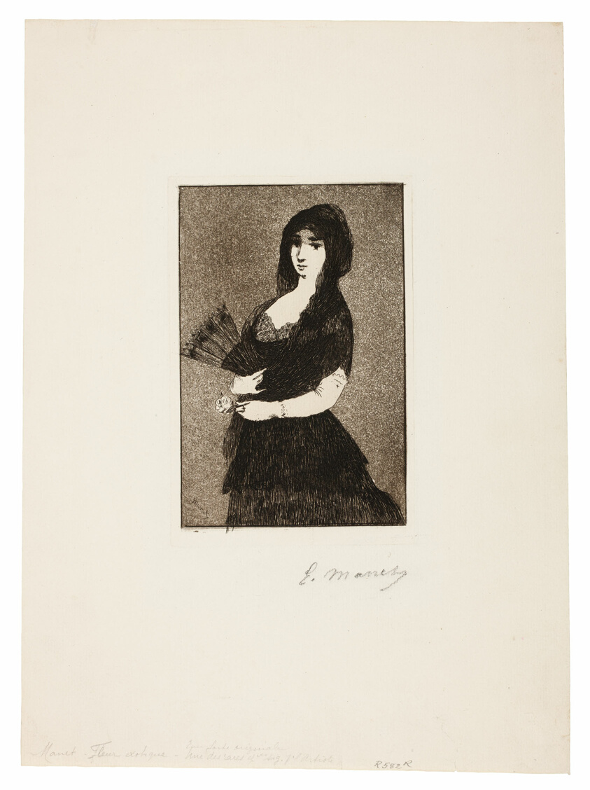 Exotic Flower (Woman in a Mantilla)