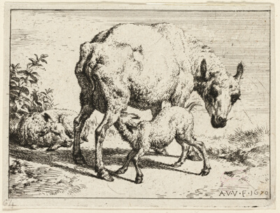 The Lamb