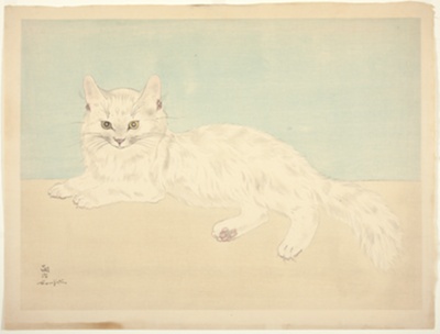White Persian Cat