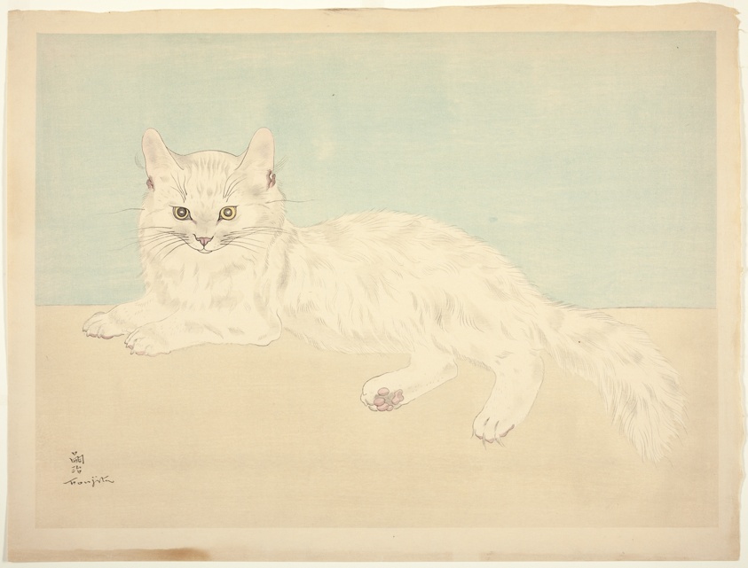 White Persian Cat