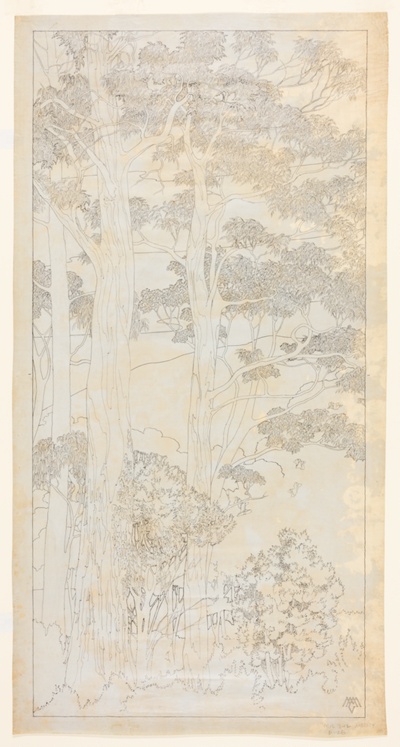 Tree Study Number Four, Australia, Design Drawing