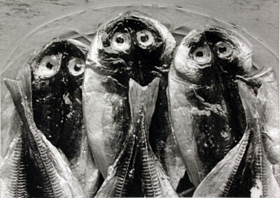 Three Fish, Yugawara, Japan