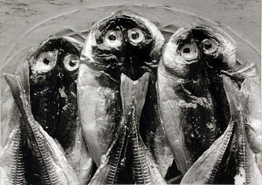 Three Fish, Yugawara, Japan