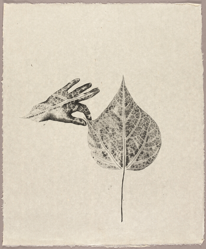Hand in Leaf