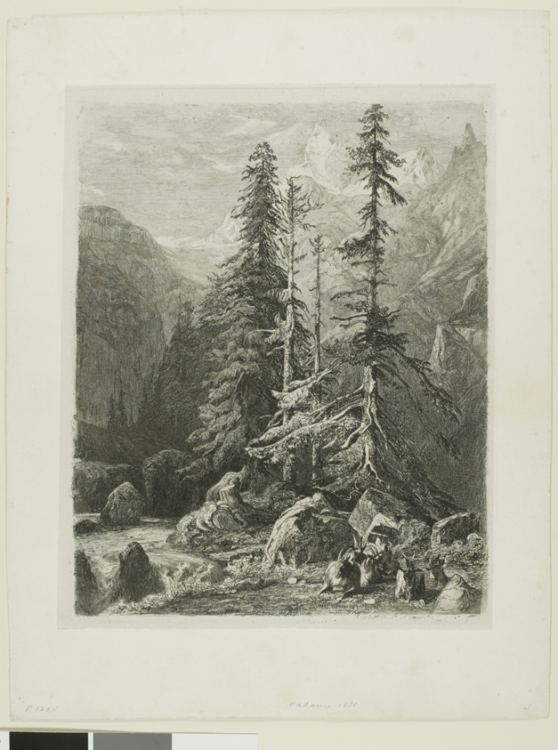 Alpine Landscape