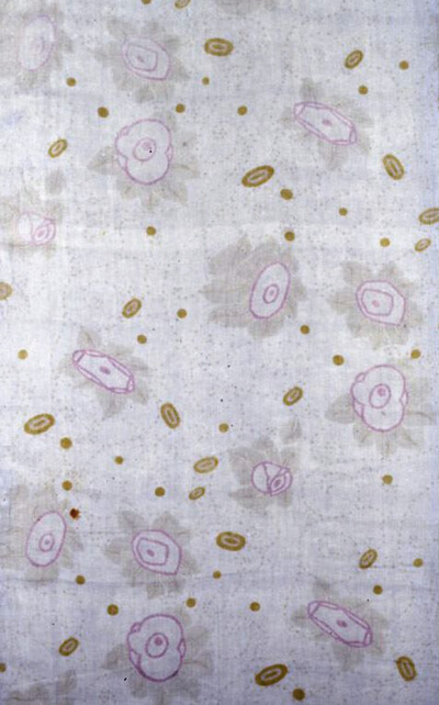 Panel (Dress or Furnishing Fabric)