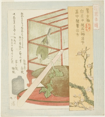 Warbler in a cage, from the series "A Series for the Hanazono Group (Hanazono bantsuzuki)"