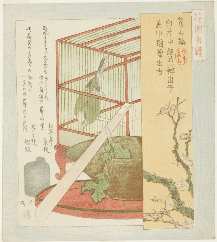 Warbler in a cage, from the series "A Series for the Hanazono Group (Hanazono bantsuzuki)"