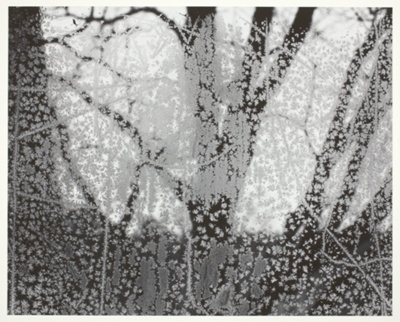 Frosted Window #2, Ipswich, Massachusetts