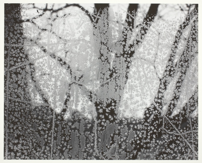 Frosted Window #2, Ipswich, Massachusetts