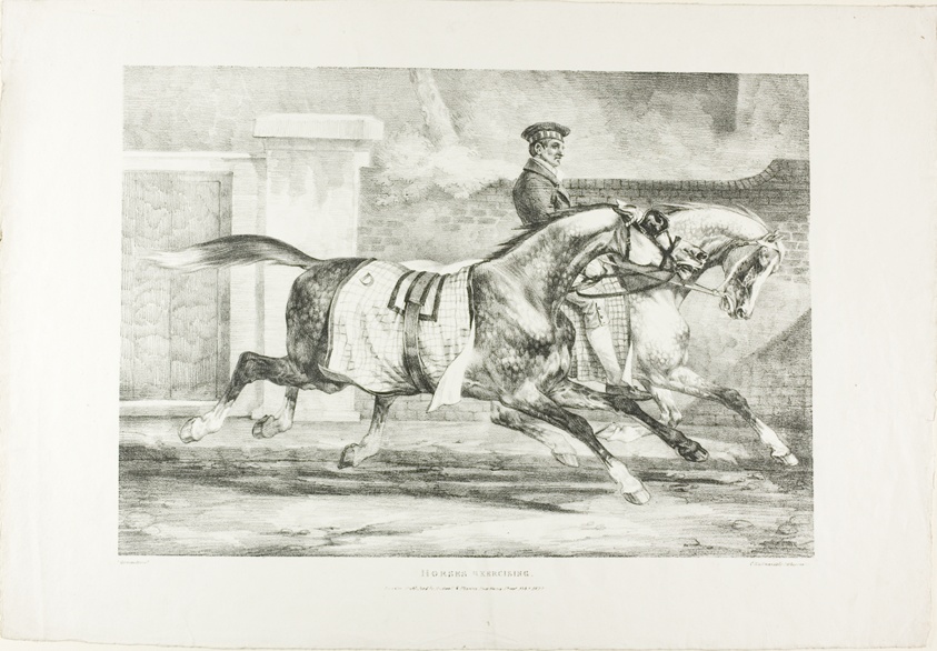 Horses Exercising, plate 6 from Various Subjects Drawn from Life on Stone