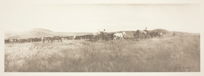 Two Wagons and Horses