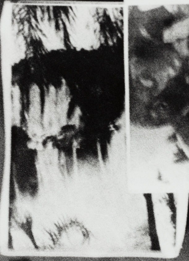 Untitled [from Circulation, October 12 #7]