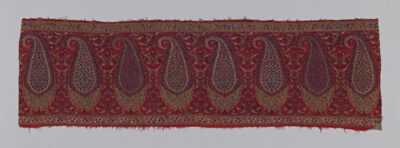 Shawl Border (Pallu)