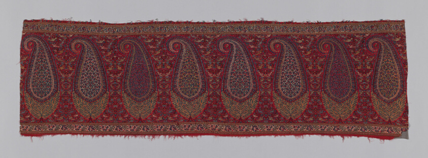 Shawl Border (Pallu)