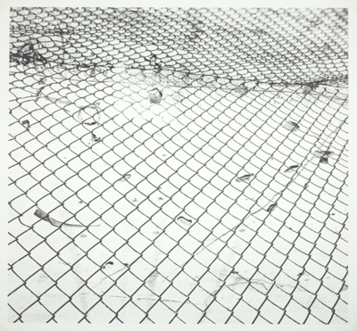 Untitled (Fence 82-9)