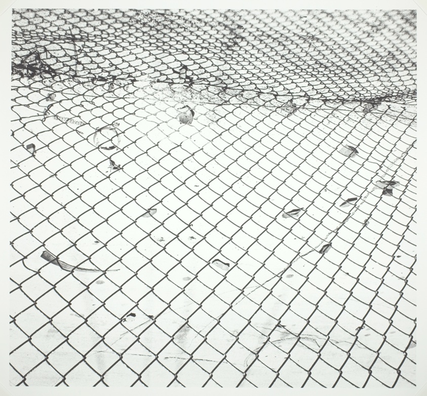 Untitled (Fence 82-9)