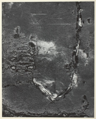 Chicago 21