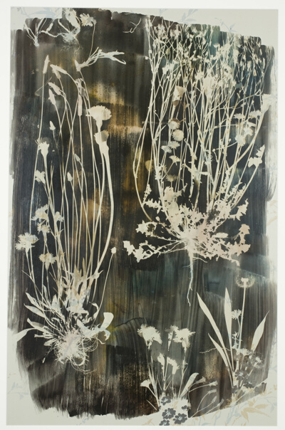 Blade of Grass II