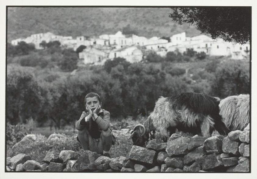 Boy Tending Goats, Spinalonga, Crète, from the series "A Greek Portfolio"