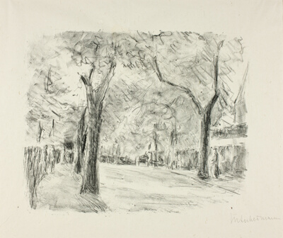 Avenue