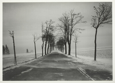 Country Road in Snowstorm (Landstrasse bei Schneesturm)