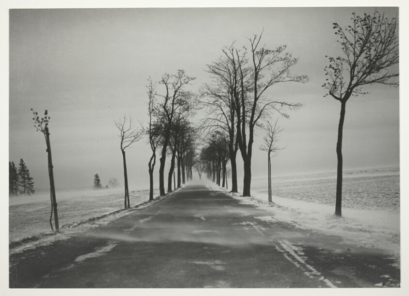 Country Road in Snowstorm (Landstrasse bei Schneesturm)