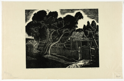 The Old Willow