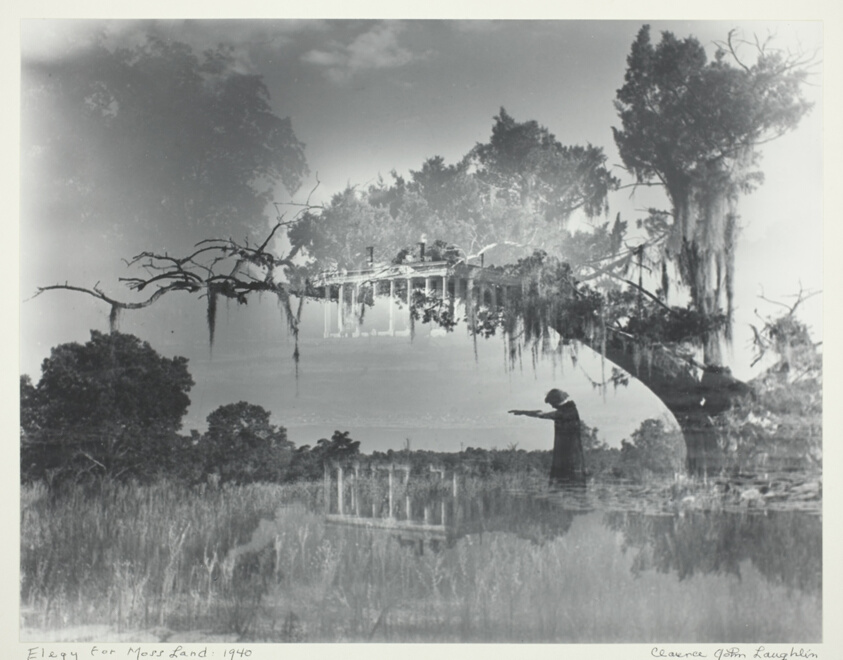 Elegy for Moss Land
