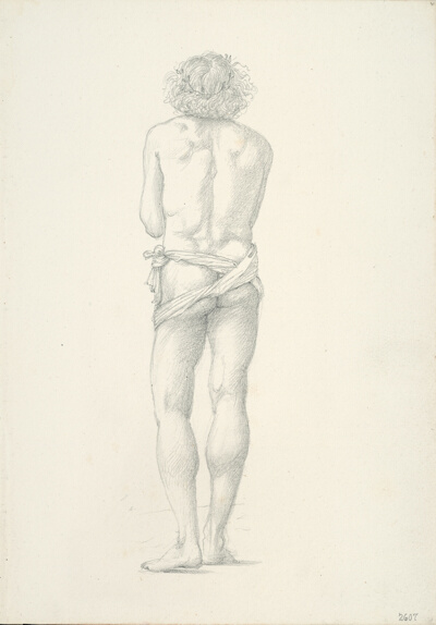 Back View of Standing Male Nude
