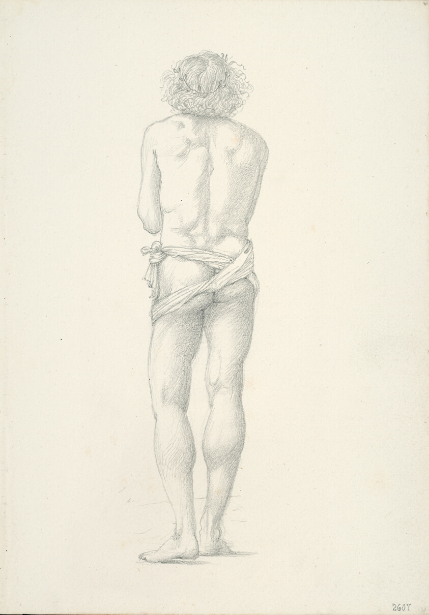 Back View of Standing Male Nude