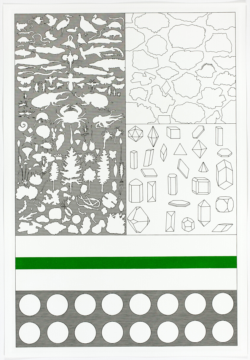 Evolutionary Chart, plate fourteen from Untitled