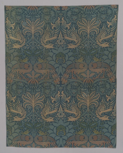 Peacock and Dragon